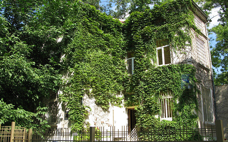 Museum of Natural Sciences Varna