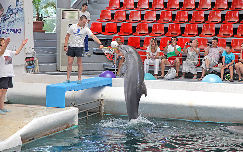 Varna Dolphinarium