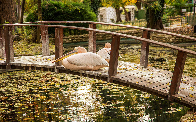 Varna Zoo