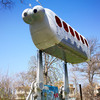 Children's Amusement Park Varna