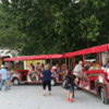 Tourist Attraction Train in Varna